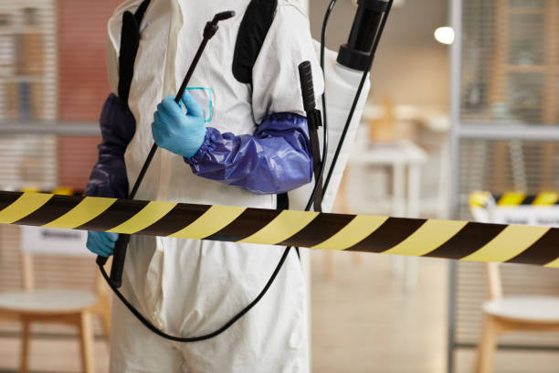 Professional Sewage Cleanup technician working in Ojai, CA